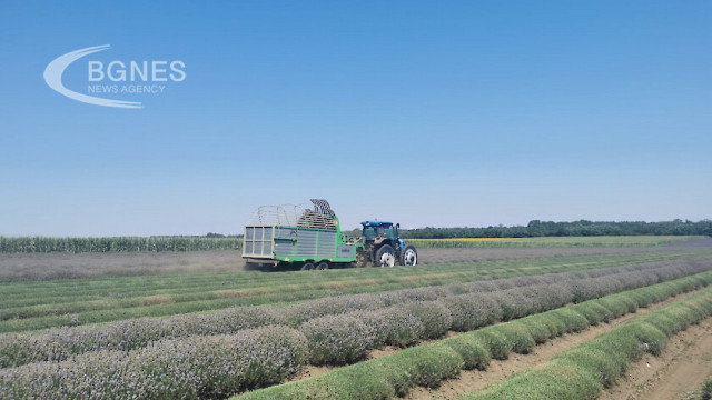 If the lavender area is not reduced, the industry will agonize