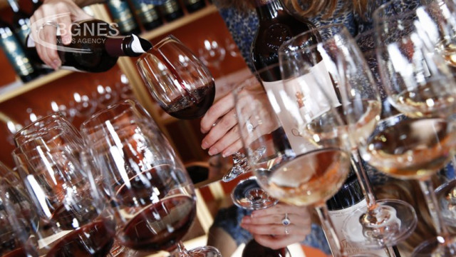 The number of regular wine drinkers in France is falling fast, with just one in ten still pouring a glass every day, a survey shows.