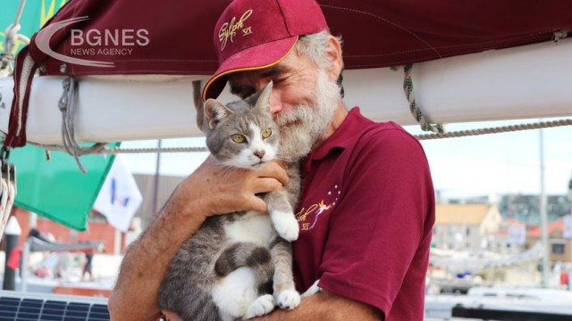 Ollie the 10-year-old cat has become the first pet to finish the legendary Sydney-Hobart regatta