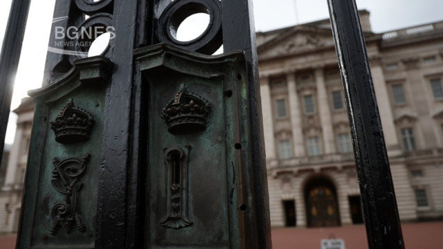 A man has been arrested after he crashed his car into the gates of Buckingham Palace in London, London police said