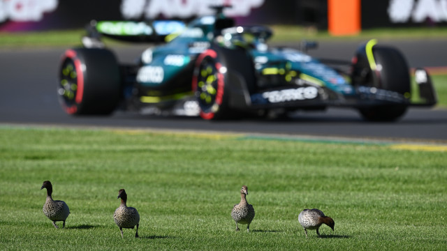 Verstappen with third consecutive pole position in F1