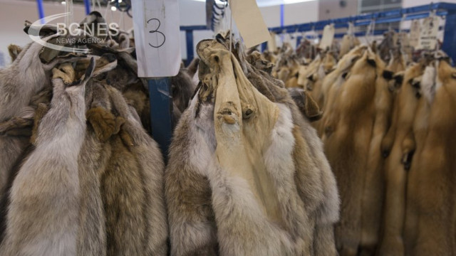 Copenhagen Fashion Week will ban exotic skins