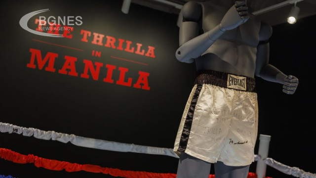 Muhammad Ali's shorts at auction for $6 million