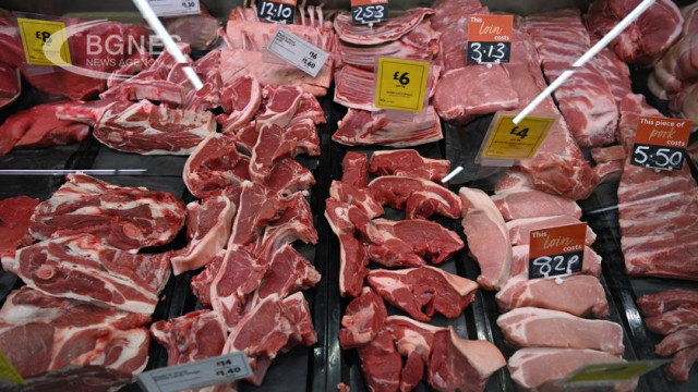 Study: Plant-based meat is greener and healthier