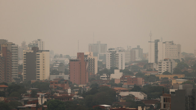 Air pollution can cause permanent damage to newborns' brains