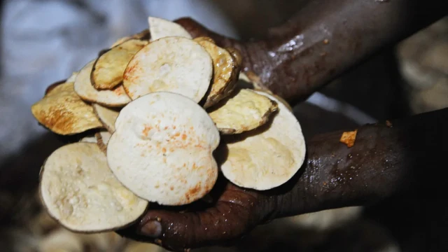 Mankind has loved carbohydrates for thousands of years