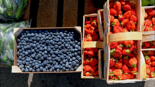 Eating blueberries slows down aging and protects against colon cancer