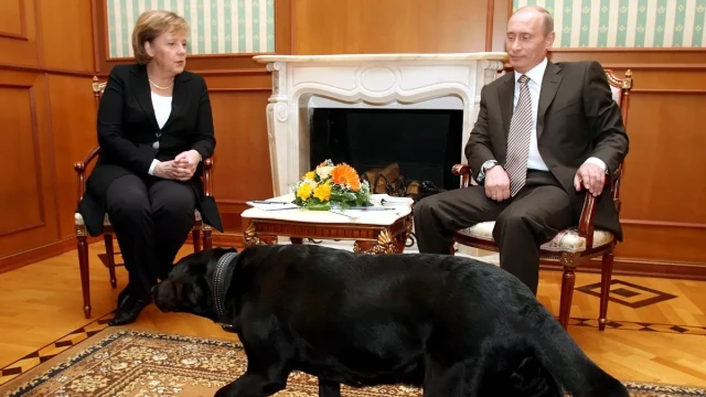 Putin denied scaring Merkel with his dog in 2007: 'Angela, please forgive me'