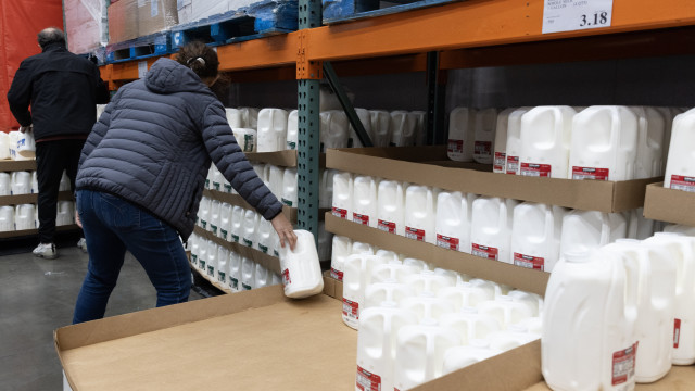 U.S. expands testing of milk supplies due to bird flu