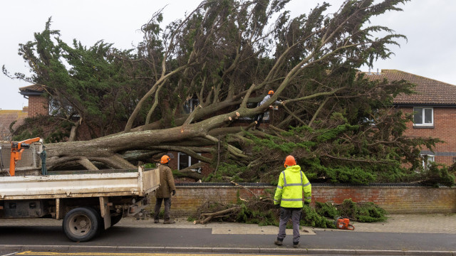 Storm Darragh leaves tens of thousands of homes without power in UK