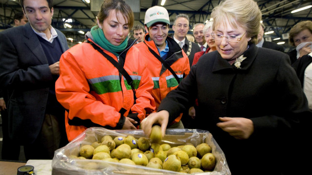 Kiwi consumption improves sleep quality and physical recovery