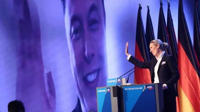 Musk spoke at Alternative for Germany meeting, via video link